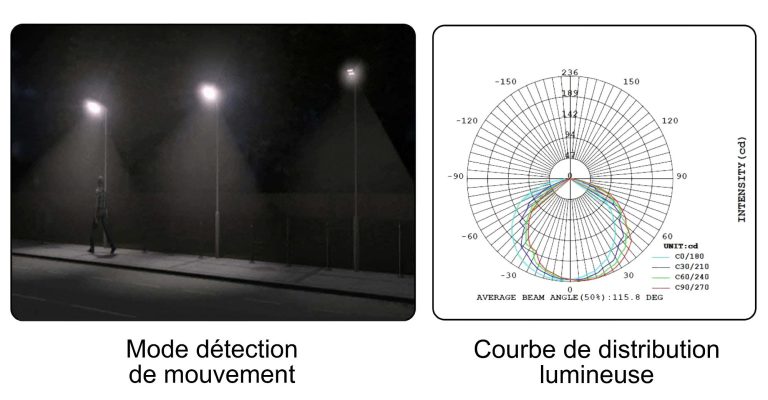 Mode détection de mouvement et courbe de distribution lumineuse de la lampe SELENE